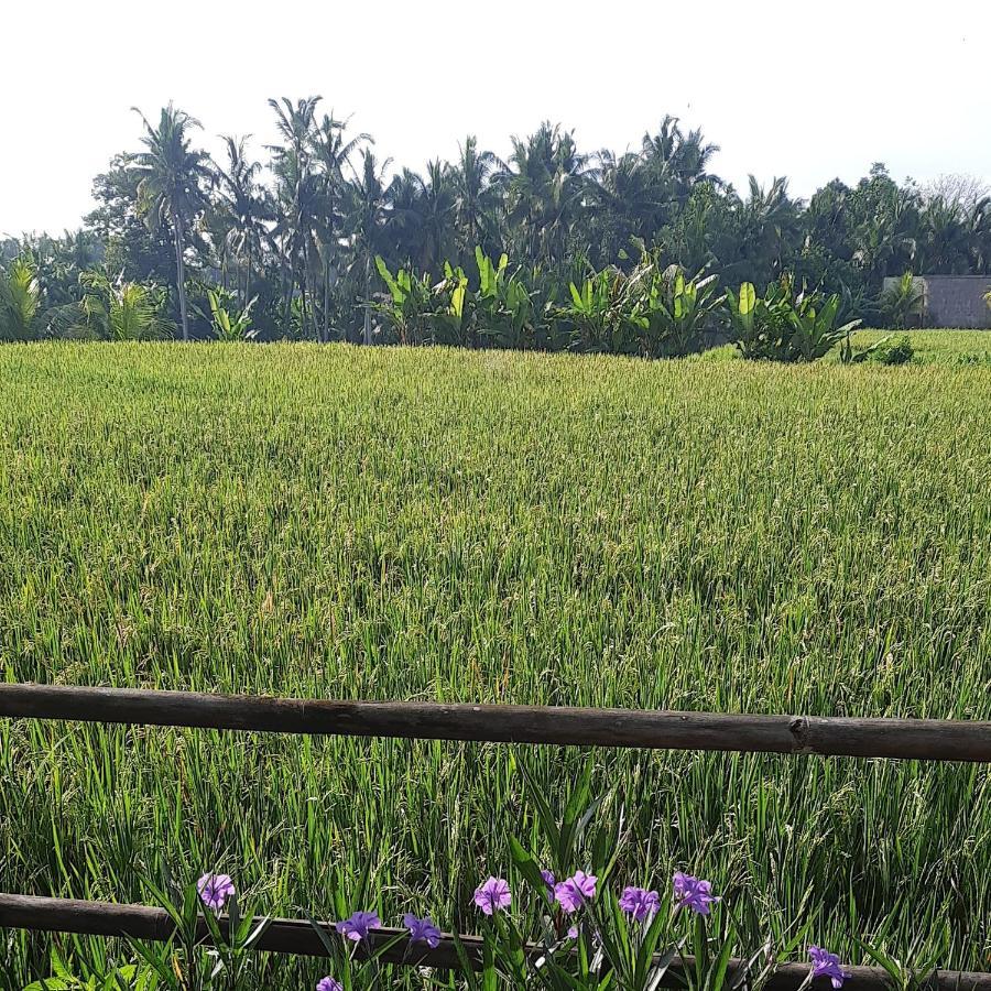 Pb Pondok Gandalangu Garden House Bali Otel Ubud Dış mekan fotoğraf